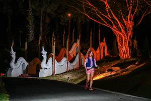 BIB: 
                            <button type="button" onclick="openModal(22511532)" class="btn btn-primary btn-sm float-right btn-popup" data-toggle="modal" data-target=".modal-high-quality">
                        <i class="fas fa-shopping-cart"></i> Add to Cart
                    </button>
                                            <button type="button" onclick="isThisMe(22511532, true)" class="btn btn-success btn-sm float-right btn-popup btn-isme hidden" data-toggle="tooltip" data-placement="bottom" title="นี่คือรูปของคุณใช่ไหม คลิกที่นี่เพื่อเอาเข้าอัลบั้ม">
                        <i class="fas fa-plus"></i> Add to album
                    </button>
                    <button type="button" onclick="isThisMe(22511532, false)" class="btn btn-warning btn-sm float-right btn-popup btn-isnotme hidden">
                        <i class="fas fa-ban"></i> Remove from album
                    </button>